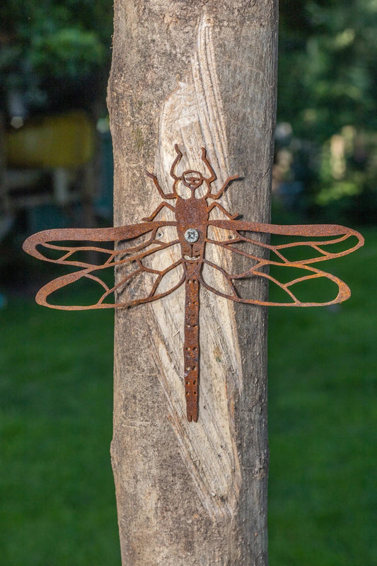Dragonfly Wall Hanger MetalMotif
