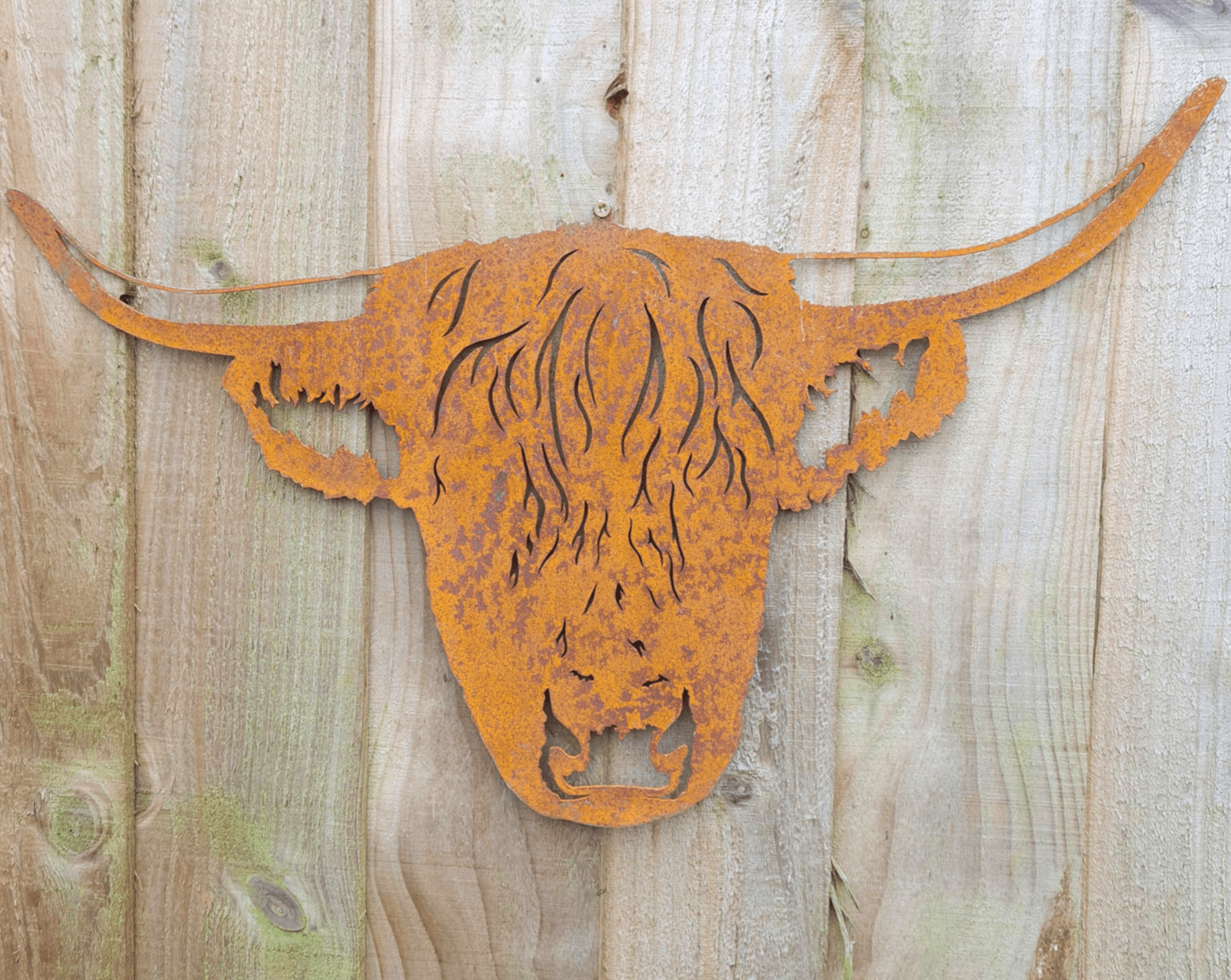 Highland Cow Head Wall Hanger MetalMotif