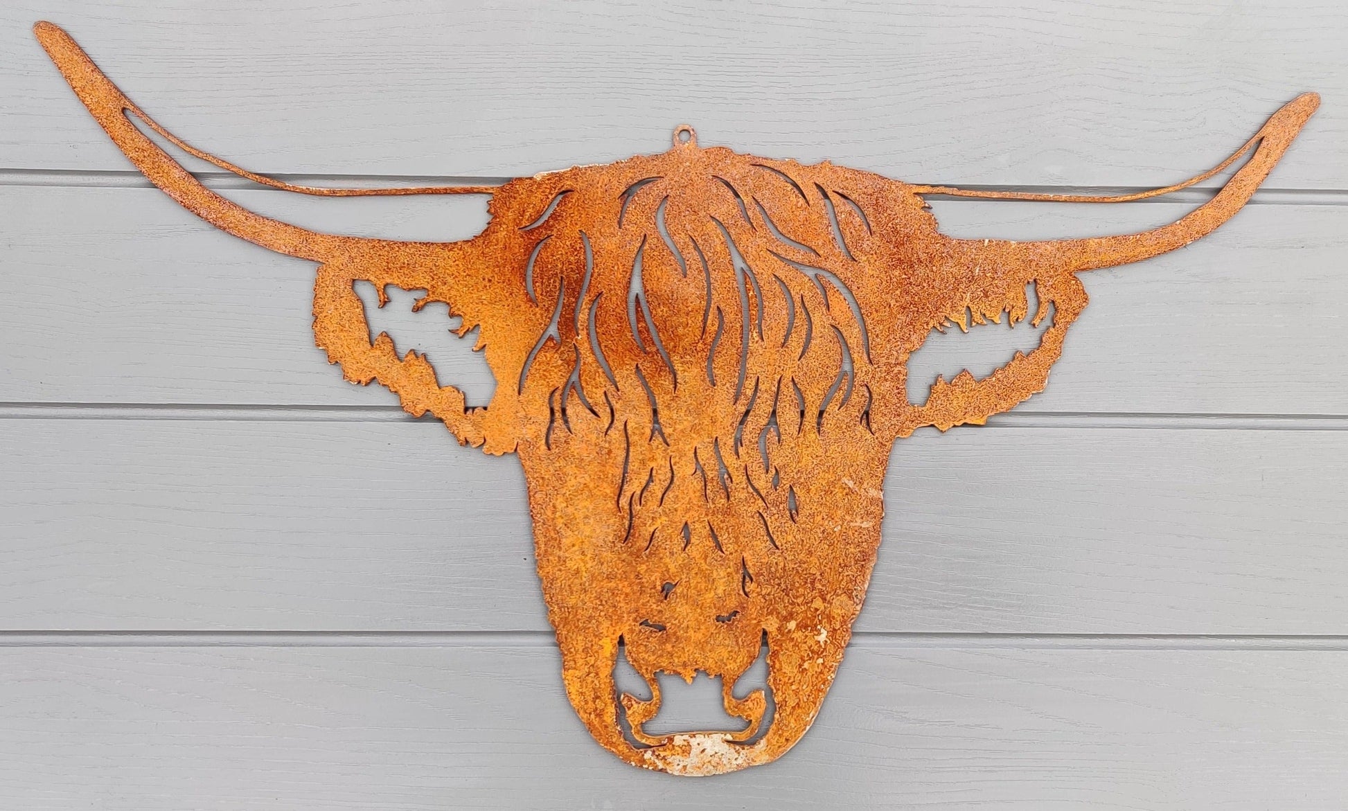 Highland Cow Head Wall Hanger - MetalMotif