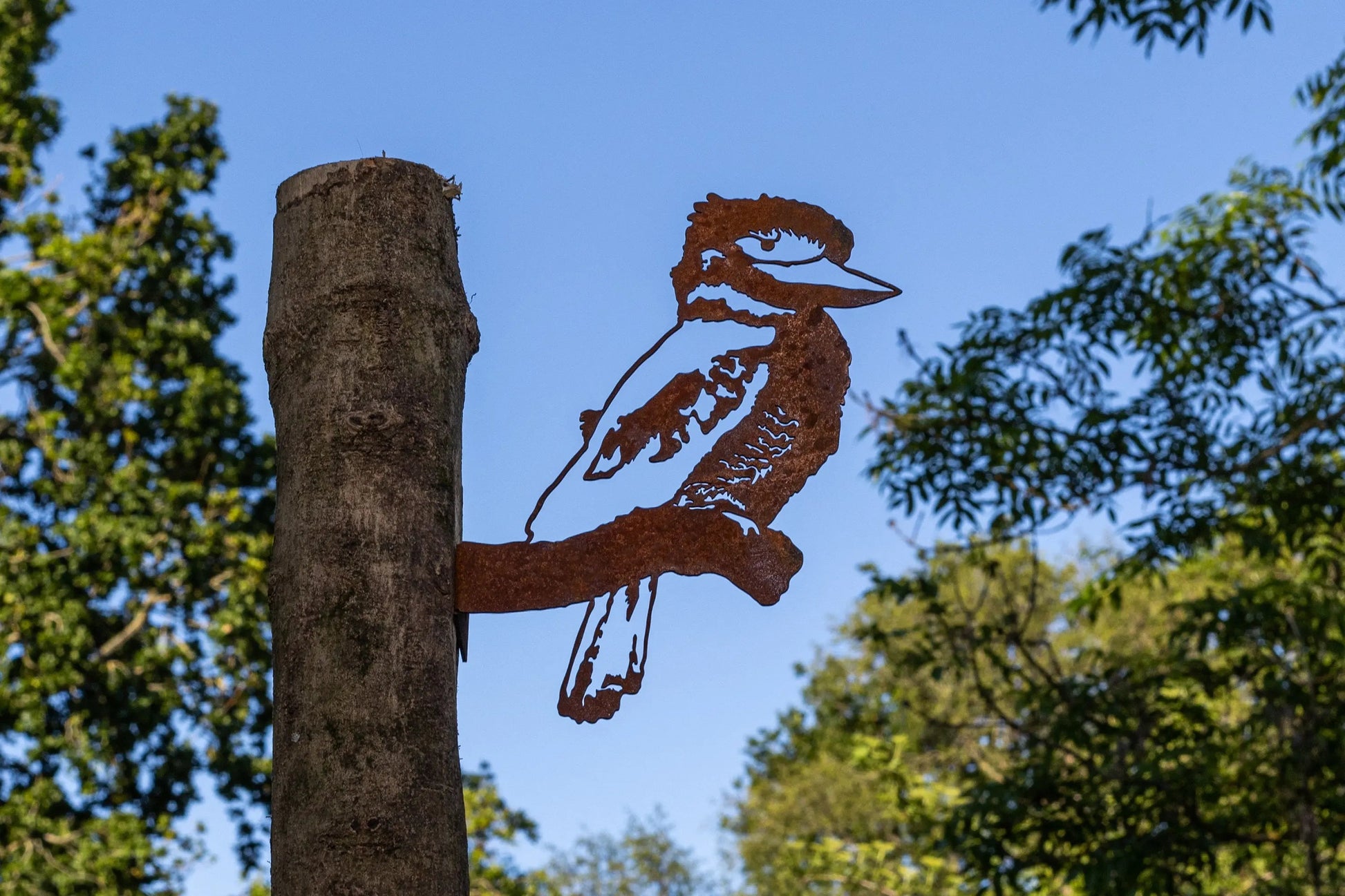 Kookaburra Wall Mount MetalMotif