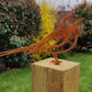 Wagtail Fence Topper - MetalMotif