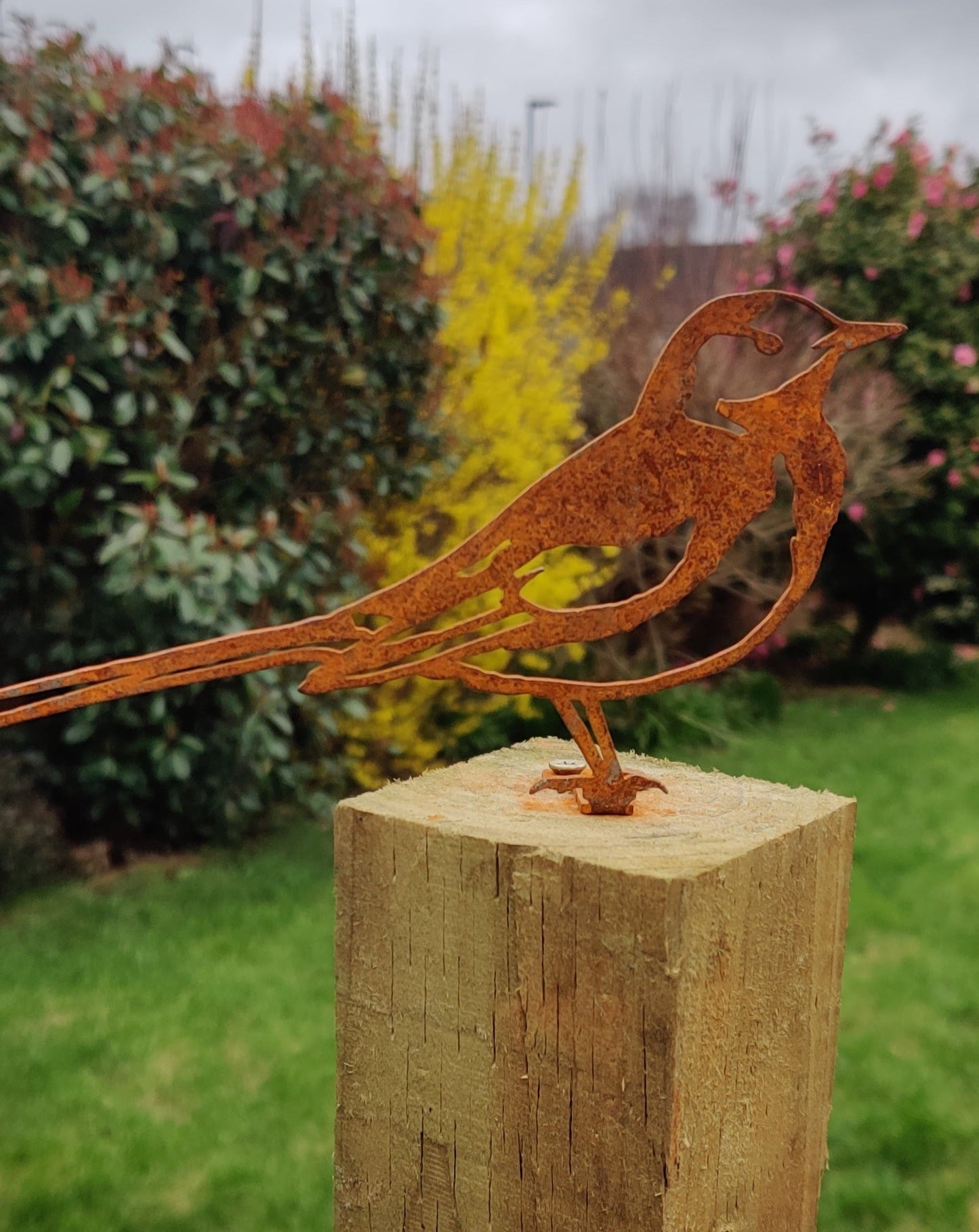 Wagtail Fence Topper - MetalMotif
