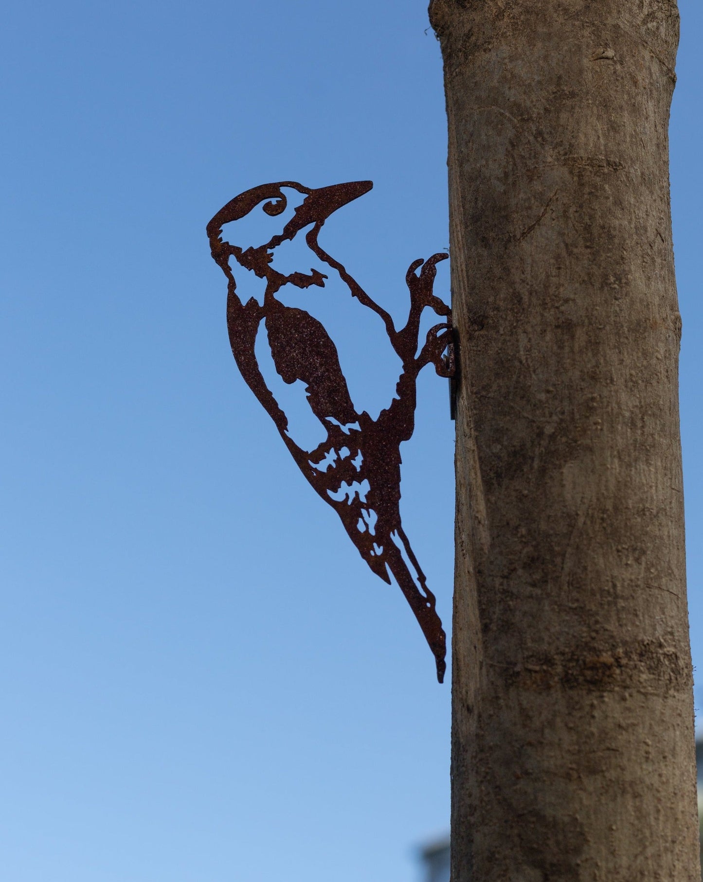 Woodpecker Wall Mount MetalMotif